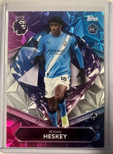 Topps premier league gebraucht kaufen Topps premier league gebraucht kaufen  Eilenburg