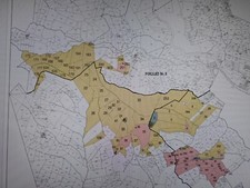 Vendo terreno agricolo usato  Italia