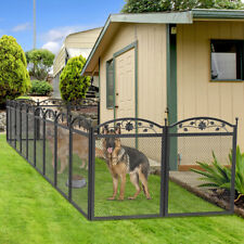 Large dog pet for sale  LOUGHBOROUGH