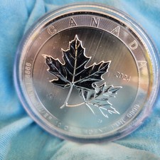 leaf silver coin maple for sale leaf silver coin maple for sale Summerland Key