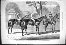 Old 1875 northumberland for sale  UK
