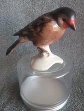 Goebel european goldfinch for sale  Harker Heights