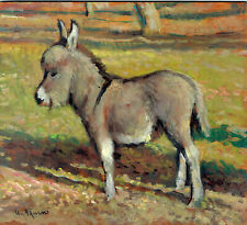 Asinello nano asino usato  Lucca