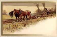 Künstler litho landwirtschaft gebraucht kaufen  Berlin