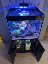 Meerwasseraquarium gebraucht kaufen Meerwasseraquarium gebraucht kaufen  Magdeburg
