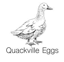 farm duck fresh eggs for sale farm duck fresh eggs for sale Talmo