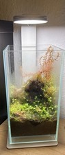 Aquarien gebraucht kaufen  Leonberg