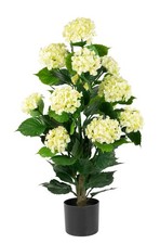Naturae decor white for sale  Brentwood