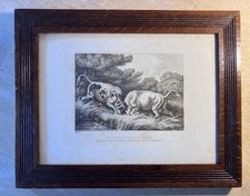 Fighting bulls antique for sale  CAMBRIDGE