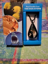 Real sealife necklace for sale  SHEFFIELD