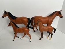 Blue box chestnut for sale  Mansfield