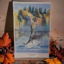Ducks unlimited signed for sale  Forked River