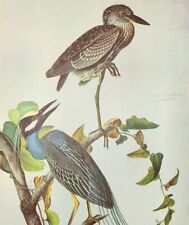 John james audubon for sale  Sahuarita