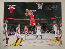 Folha de fotos do jogador Derrick Rose Chicago Bulls NBA Basketball #1 (12" x 9") comprar usado  Enviando para Brazil