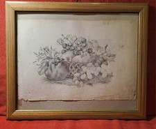 Disegno antico.canestra frutta usato Disegno antico.canestra frutta usato  Napoli