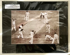 marylebone cricket club for sale marylebone cricket club for sale EXETER