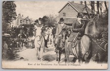 Plumpton sussex meet for sale  GLASGOW