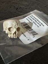 Magnolia pearl skull d'occasion  Expédié en Belgium