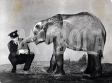 Vintage elefante pole usato  Roma