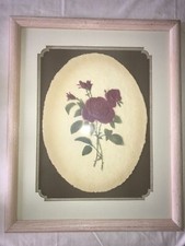 Framed pressed paper for sale  Charleroi