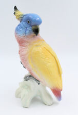 Oiseau perroquet cacatoes d'occasion  Barbentane
