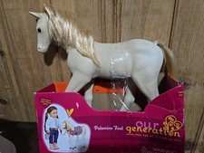 Generation palomino foal for sale  Sandwich