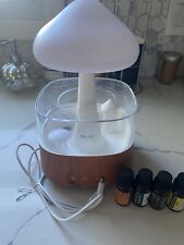 Raincloud essential oils for sale  Lockport