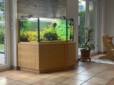 Aquarium komplett besatz gebraucht kaufen  Münster
