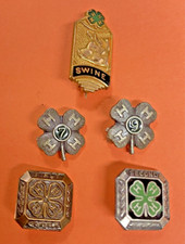 Vintage pins county for sale  Tilton