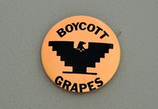 Boycott grapes u.f.w. for sale  Escondido
