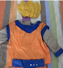 Costume carnevale dragon usato  Marsala