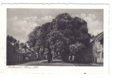 Alte ballenstedt harz gebraucht kaufen  Deutschland