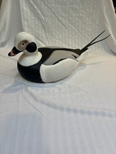 Long tail drake for sale  Jewett