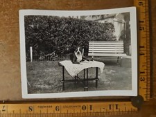 Vintage snapshot photo for sale  Denver
