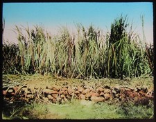 Colour glass magic for sale Colour glass magic for sale  HAYLE