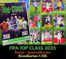 Panini fifa top gebraucht kaufen  Börßum