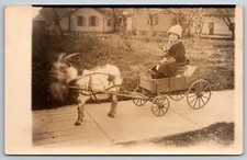 1910s rppc young for sale  Sobieski