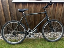 Raleigh amazon blue for sale  SHREWSBURY