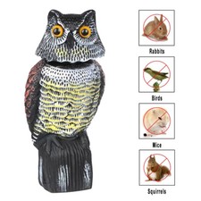 Large realistic owl for sale  HAYWARDS HEATH