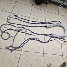 pessoa longierhilfe gebraucht kaufen  Saerbeck
