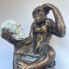 Darwin monkey skull for sale  Maumee