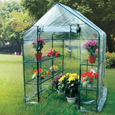 2nds walk greenhouse for sale  CREDITON