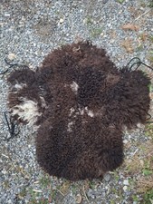 Sattelfell westernsattel gebraucht kaufen  Kettershausen