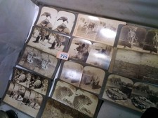 Stereograph wild animals for sale  BRISTOL