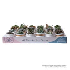 24.0 pack grower for sale  Denver