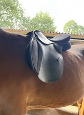 Thorowgood 17.5 wide for sale  HIGH PEAK