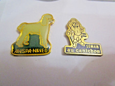 Pin chien caniches d'occasion  Monchecourt