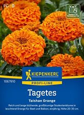 Kiepenkerl tagetes taishan gebraucht kaufen  Elchesheim-Illingen