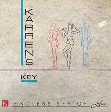 Karren key endless gebraucht kaufen  Bremen