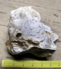 Minerali perfetto raro usato  Novara